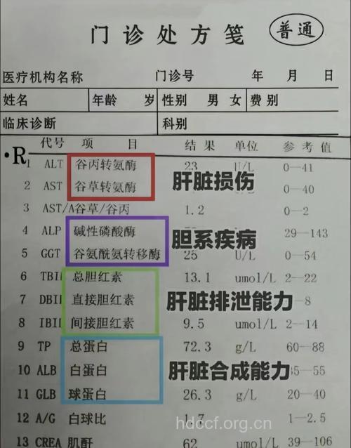 肝癌的检查项目及结果评定