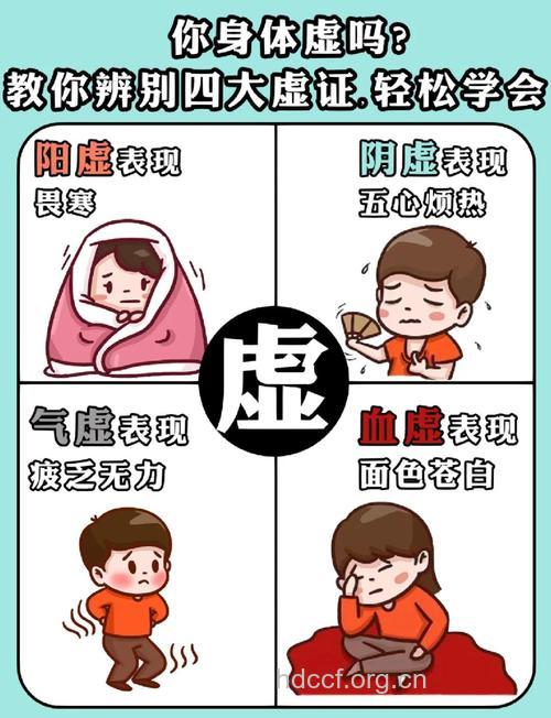 什么是脾气虚证？