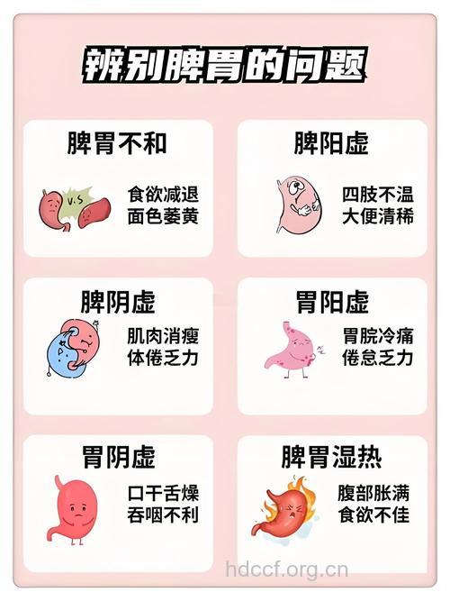 什么是脾胃病辨证?