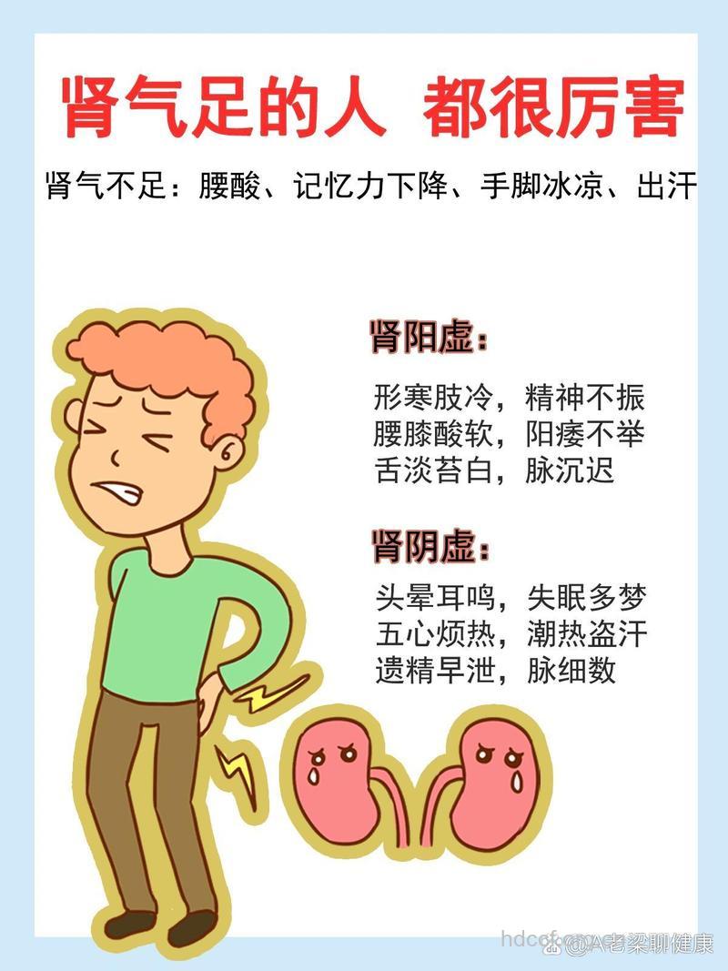 什么是肾气不固证？