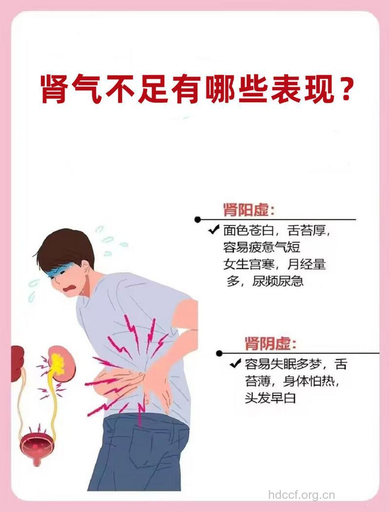 什么是肾不纳气证？