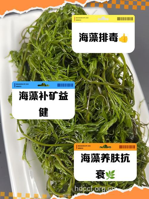 研究证明 多吃各种海藻有助防心脏病