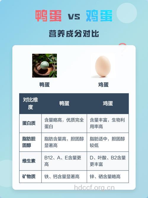 告诉你鸡蛋与鸭蛋的营养差别在哪