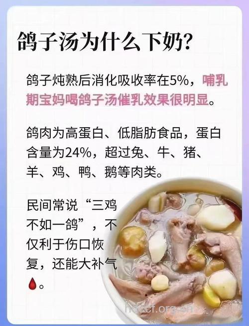 吃鸽子有什么好处？