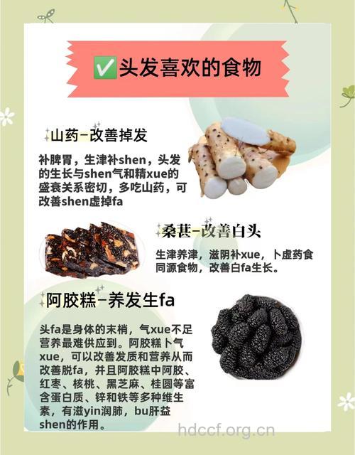 头发变黄容易断 吃什么能防治