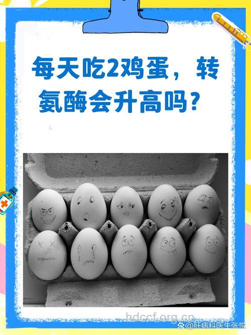 惊!天天吃鸡蛋死亡率更高