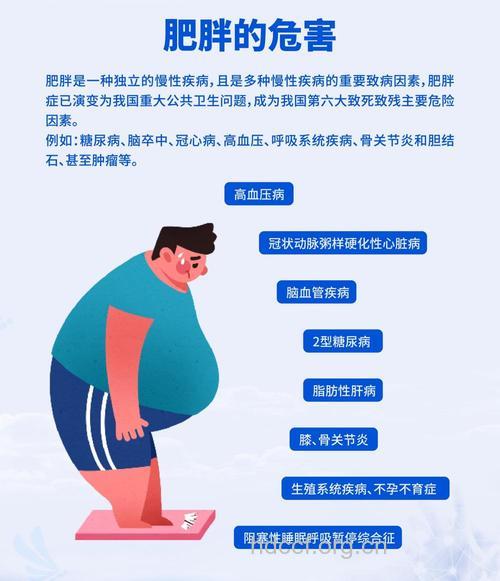 肥胖人群更易中风的几大原因