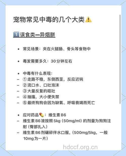 食用动物中毒要怎么办 食用动物中毒急救