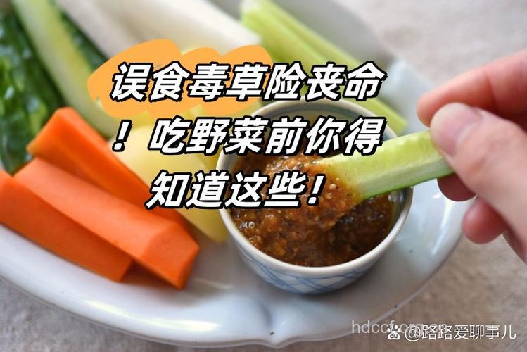 乱吃野菜中毒怎么办 要如何急救