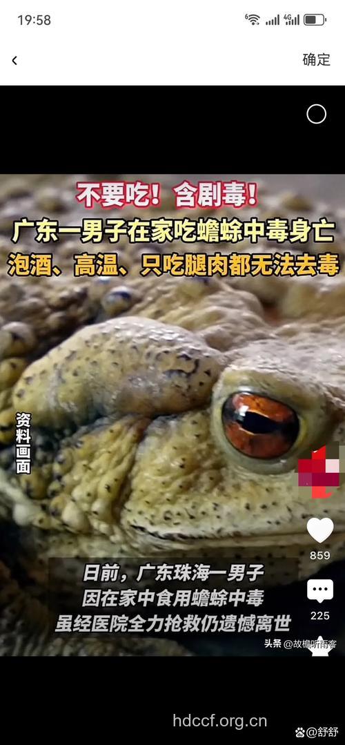 男子误食蟾蜍死亡 蟾蜍中毒如何急救