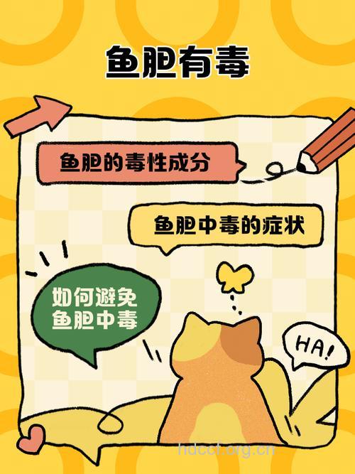 小心：食用鱼胆可中毒