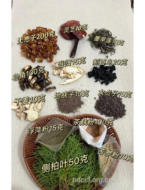 人到中年容易脱发 试试六种中药