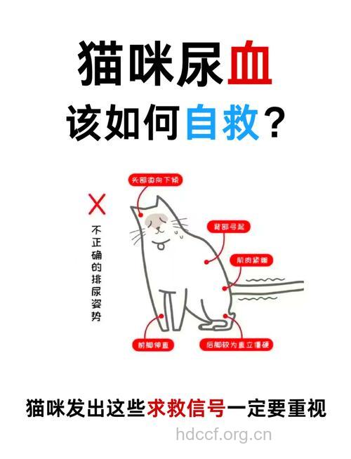 出现血尿时该怎么办？