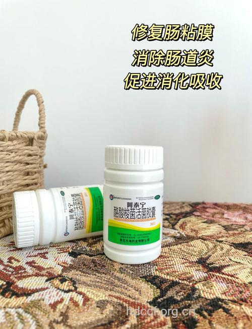 肠易激综合征:解痉药+肠黏膜保护药