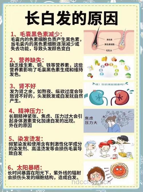 白发关系到健康 这些坏习惯导致白发越长越多
