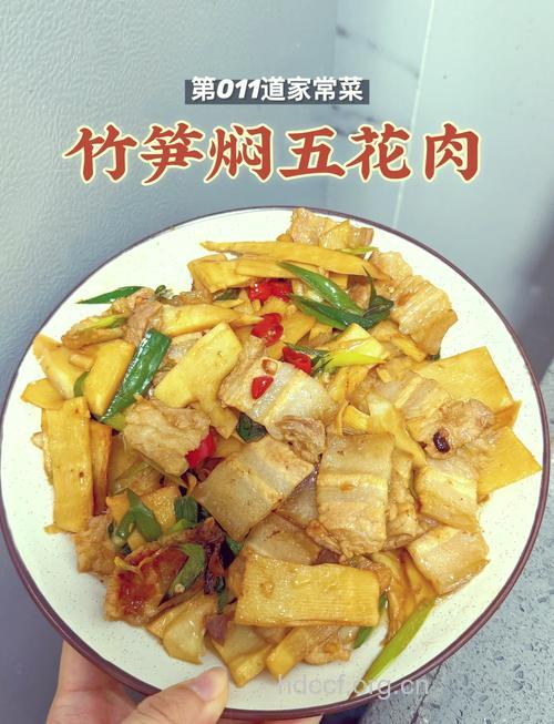 笋子烧肉的做法大全