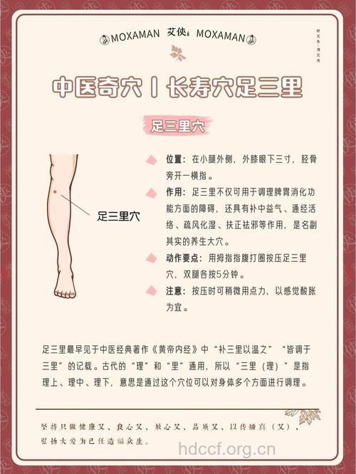 中医抗衰老秘诀：艾灸足三里