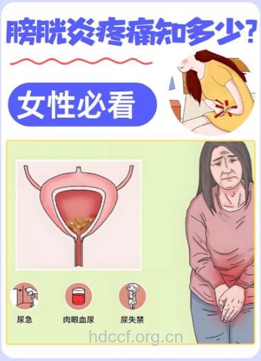 新婚女性需谨慎蜜月性膀肮炎