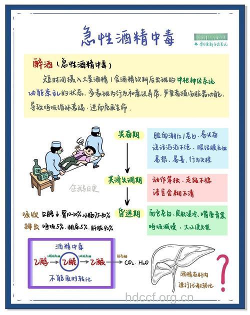急性酒精中毒的三个阶段