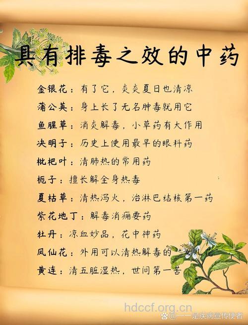 哪些中药能美容 10种中药能排毒美颜