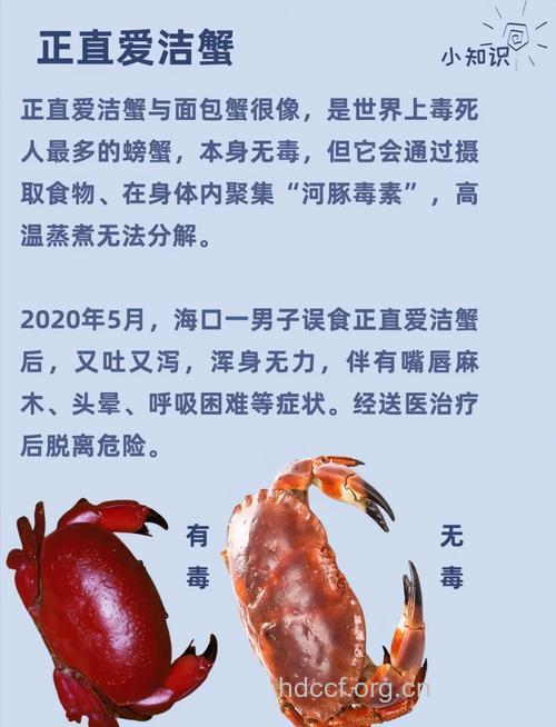 小心：死螃蟹有毒,谨防误食