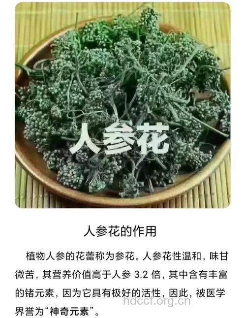 人参中毒后的中草药治疗