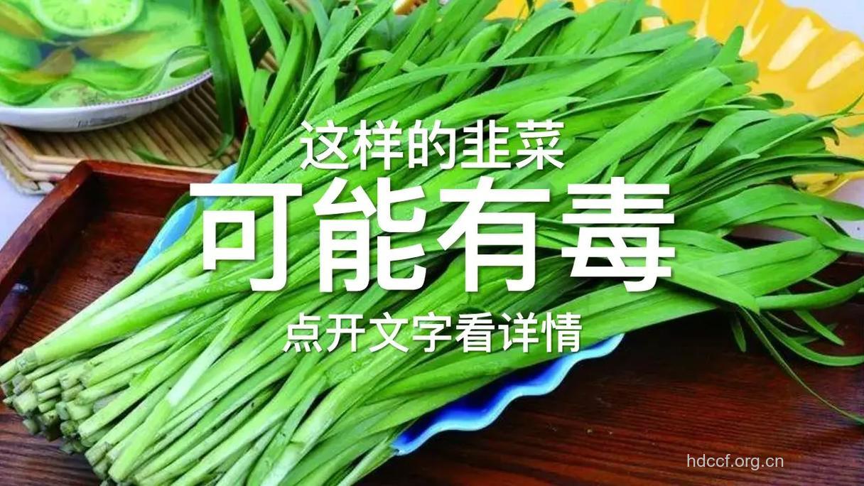 韭菜隔夜变成毒