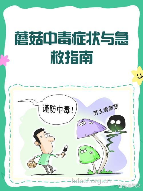 蘑菇中毒后怎么办?