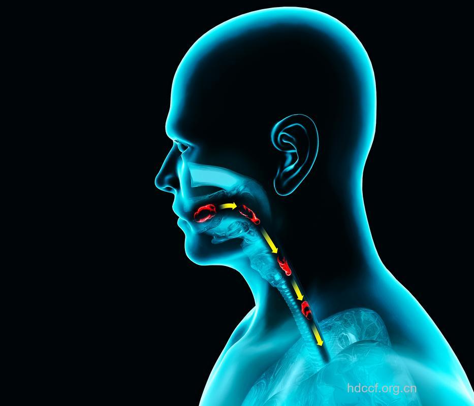 小心:身体的红灯发出的6个警报