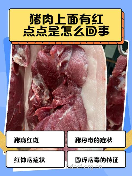 食用＂瘦肉精＂的猪肉会有哪些中毒症状?