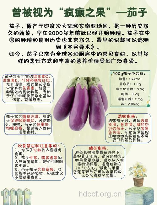茄子有什么营养价值?