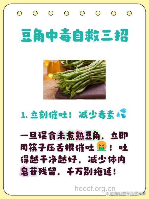 豆角中毒后的应急处理措施