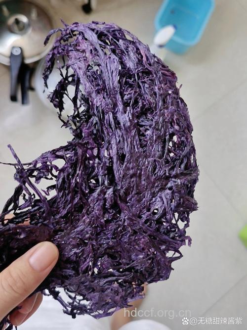 蓝紫色紫菜食用易中毒