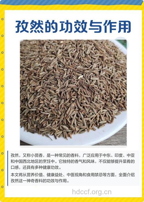 孜然有什么营养价值？