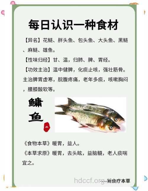 胖头鱼有什么营养价值？