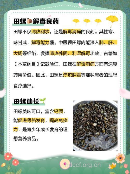 田螺有什么营养价值?