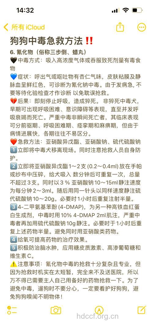 氰化物中毒护理要点