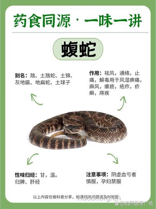 蛇有什么营养价值？