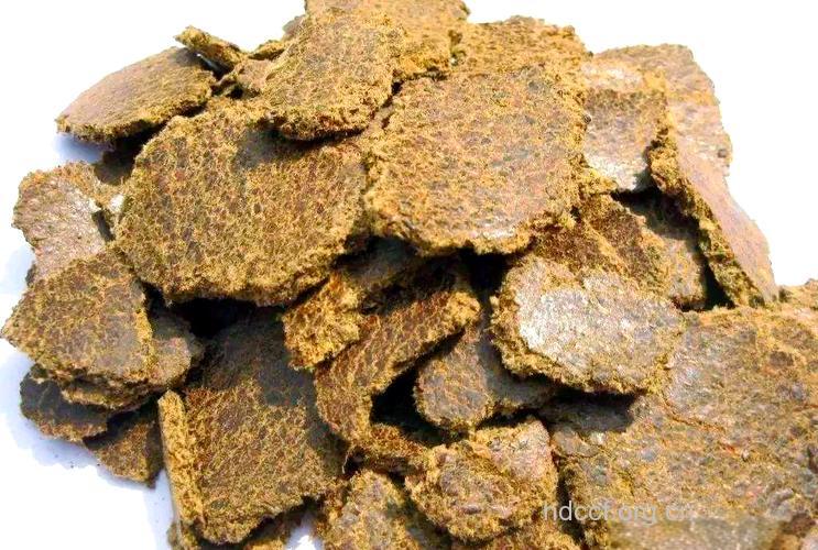 牛棉籽饼中毒有什么发病特点