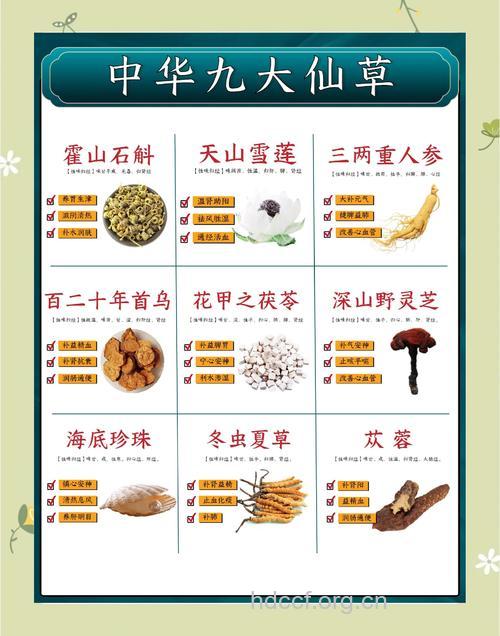 这六种中药是美容养颜的“仙草”