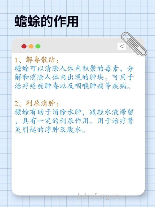 夏季怎么预防蟾蜍中毒