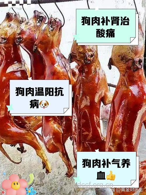狗肉可以缓解性功能吗