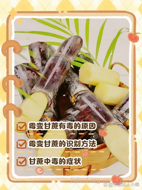 怎么吃甘蔗会导致中毒