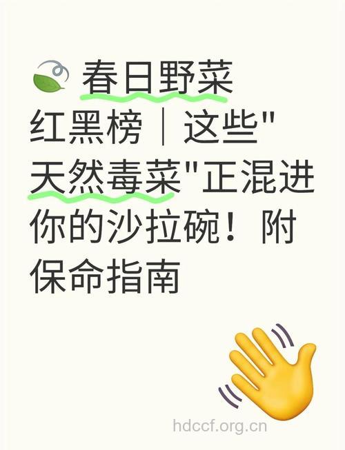 误食野菜中毒的4个急救方法