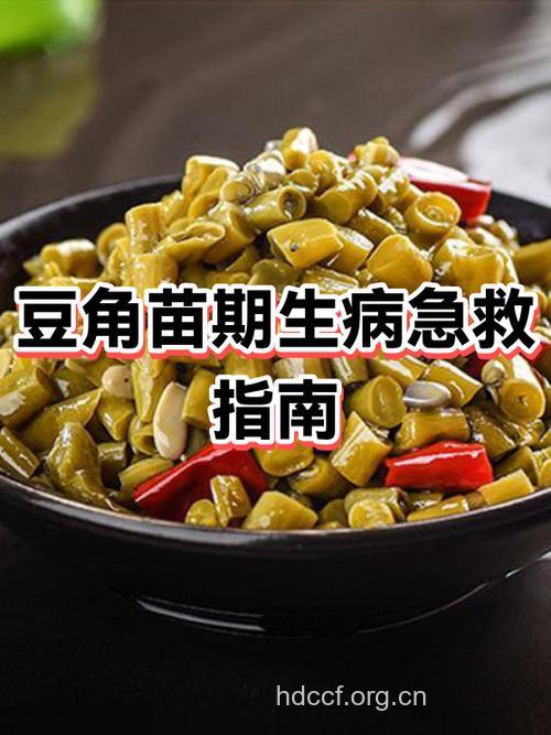 吃豆角中毒 如何急救?
