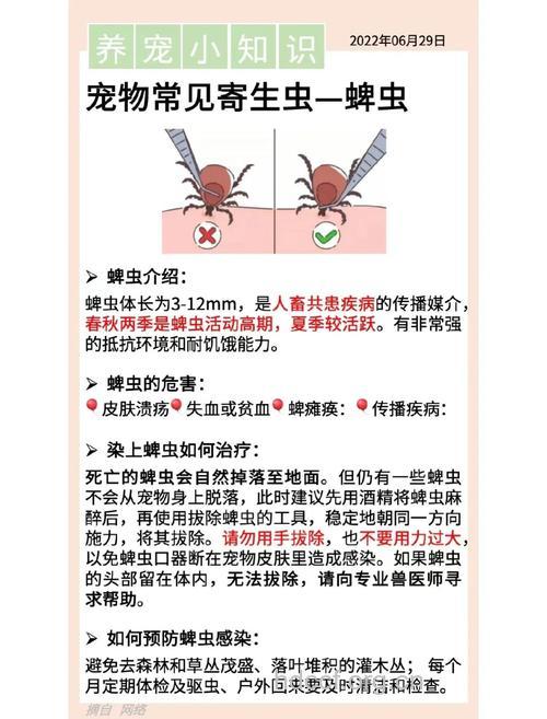 如何预防蜱虫中毒