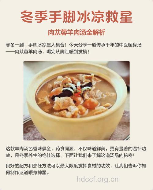 萸肉苁蓉羊肉汤的食疗功效及做法