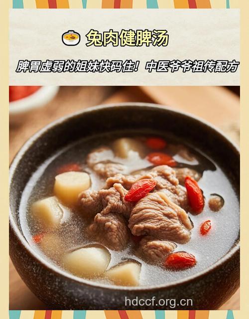 2011兔年兔肉的养生药膳大全
