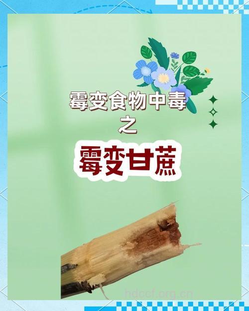 为什么会导致霉变甘蔗中毒