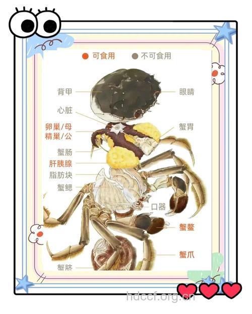 怎么吃螃蟹预防中毒方法